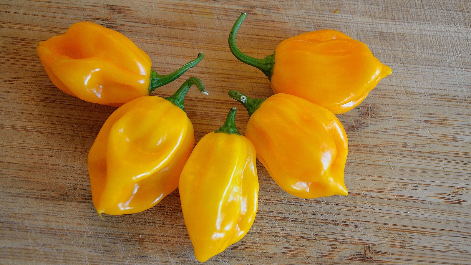 Burkina Yellow