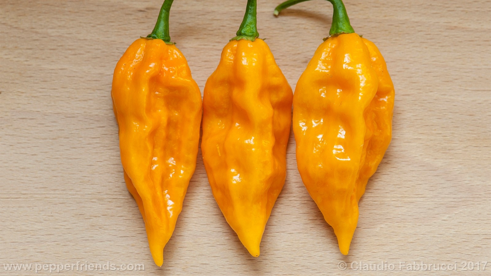 Fatalii