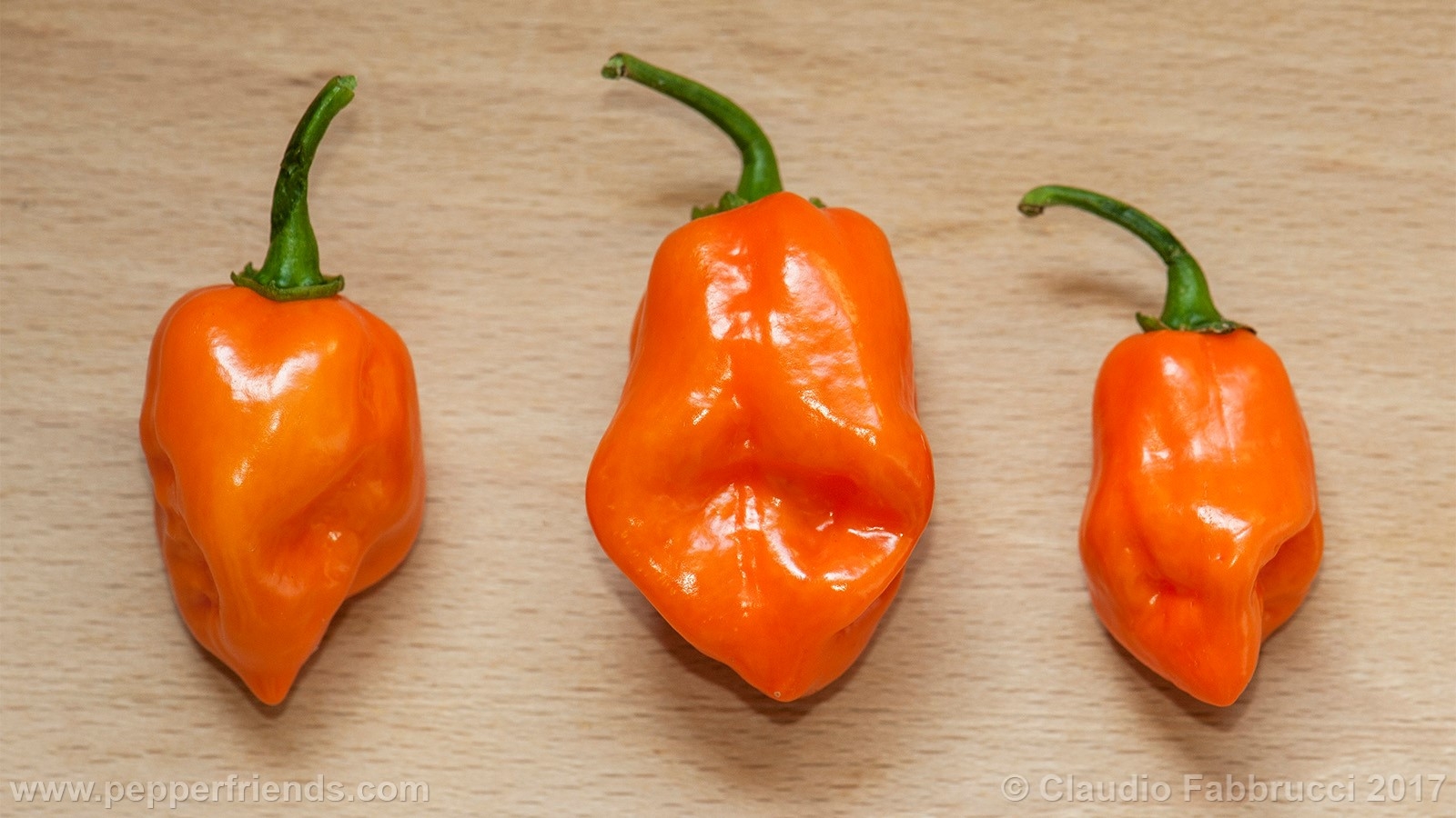 Habanero Arancio