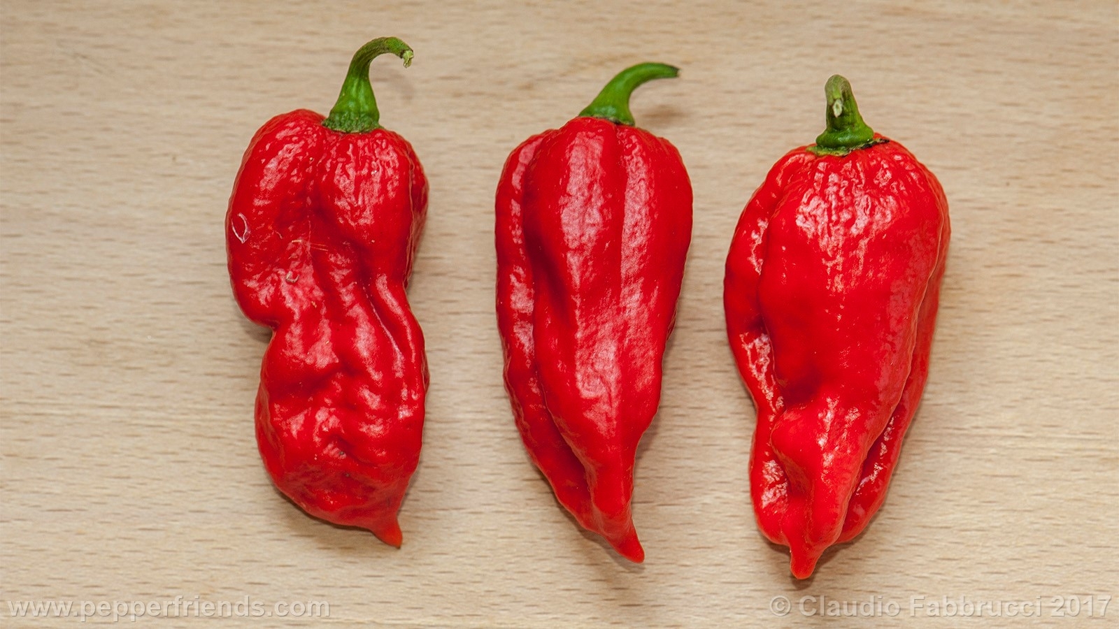Seven Pod Long