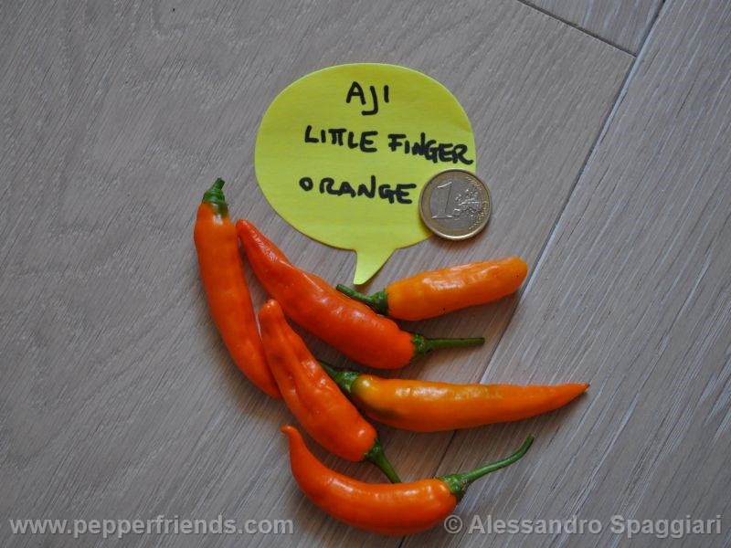 https://www.pepperfriends.org/uploads/aji-little-finger-orange/001/aji-little-finger-orange_001_frutto_02.jpg