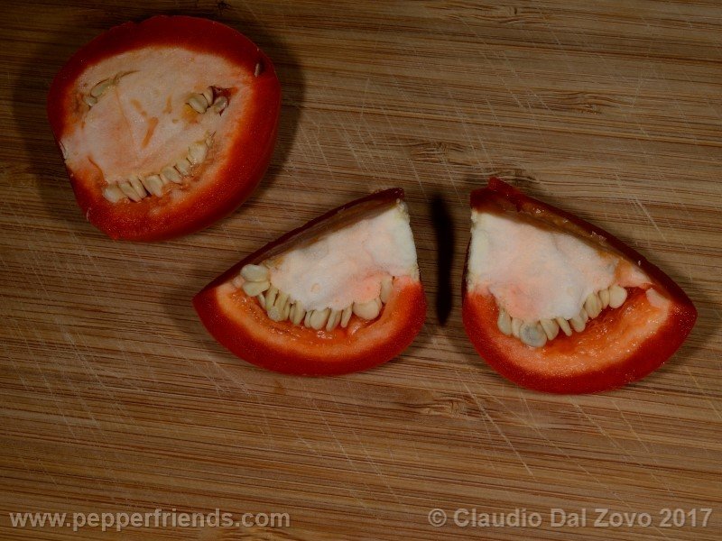 apple-pf_001_frutto_07.jpg