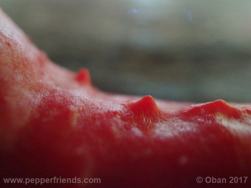 bengle-naga_001_frutto_25.jpg