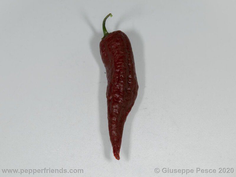 bhut-jolokia-caramel_001_21_NewBJCaramel_JF01_021.jpg