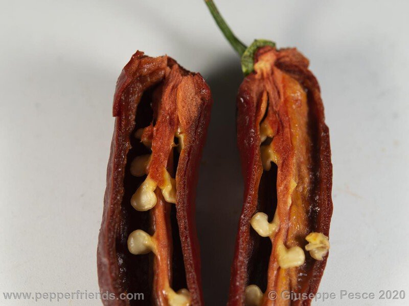 bhut-jolokia-caramel_001_23_NewBJCaramel_JF01_023.jpg