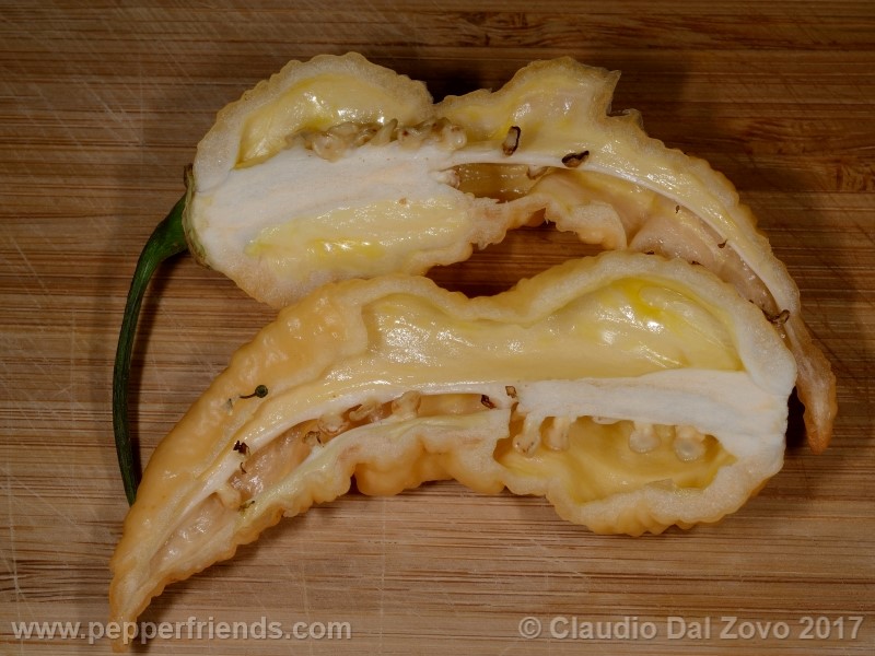 bhut-jolokia-orange_001_frutto_06.jpg