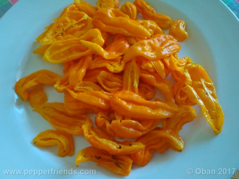 bhut-jolokia-yellow_001_frutto_19.jpg
