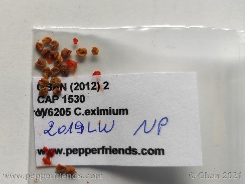 eximium-cap-1530_002_frutto_01.jpg