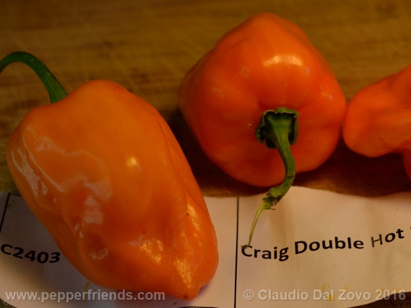 craig-dh-habanero_001_frutto_05.jpg