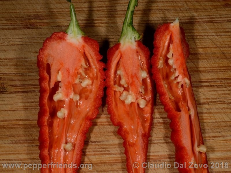 devils-brain_001_frutto13.jpg