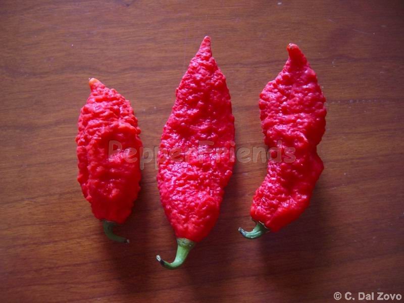 differenze_000_bhut_11.jpg