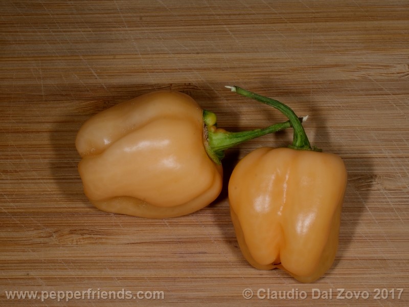 habanero-peach_001_frutto_06.jpg