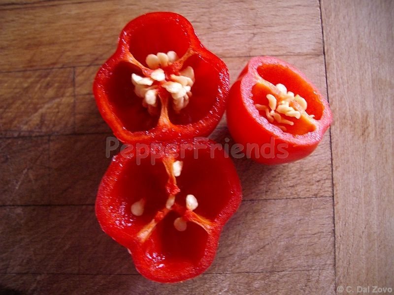 habanero-red-savina_001_frutto_02.jpg