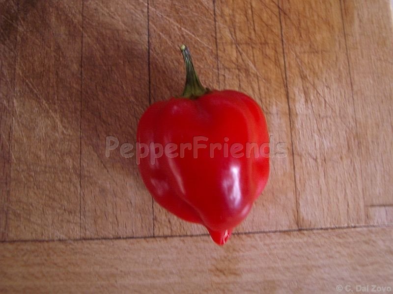 habanero-red-savina_001_frutto_04.jpg