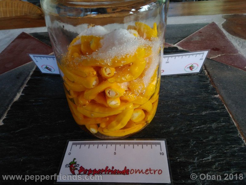 hot-lemon_004_frutto_19.jpg