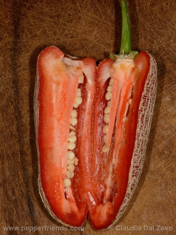 jalapeno-farmer-mp_001_frutto_08.jpg