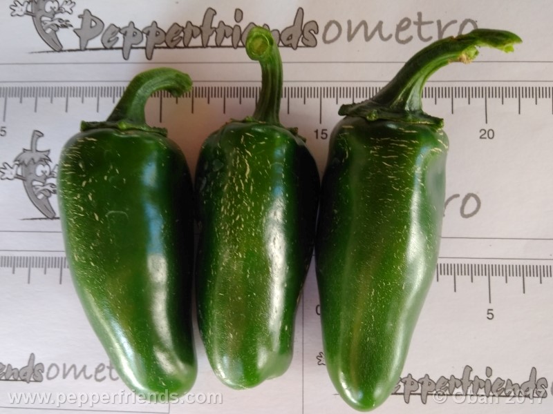 jalapeno-tajin_002_frutto_01.jpg