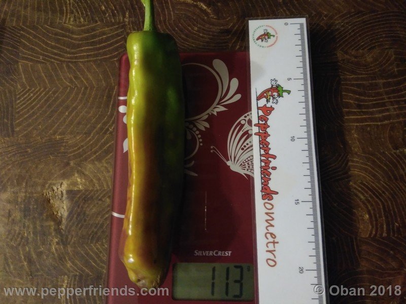 numex-big-jim_002_6_1609732125_Peperoncini2018-2460.jpg