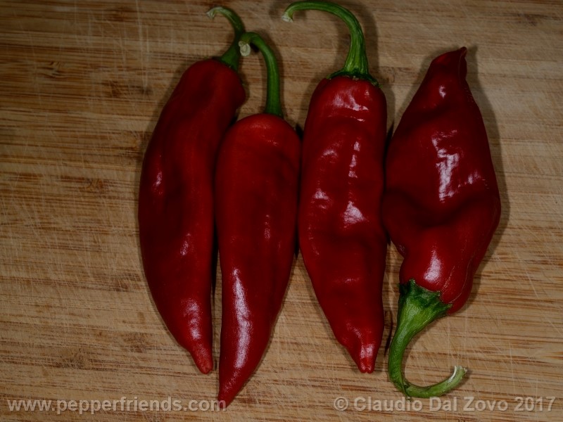 https://www.pepperfriends.org/uploads/numex-sandia/001/numex-sandia_frutto_02.jpg