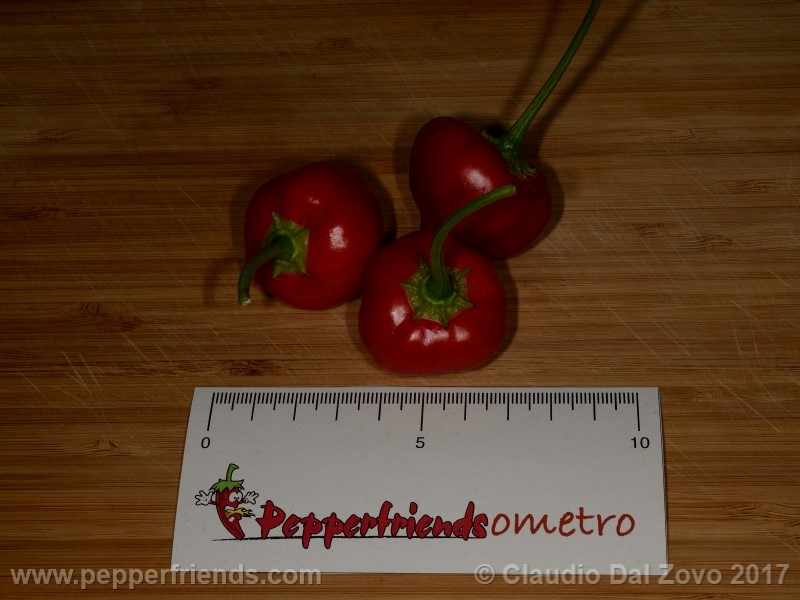 peppadew_001_frutto_06.jpg
