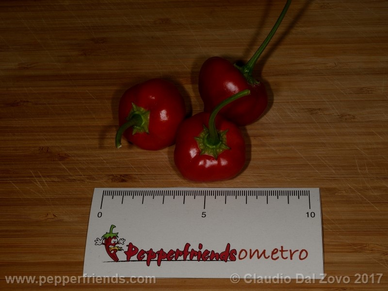 peppadew_001_frutto_06.jpg