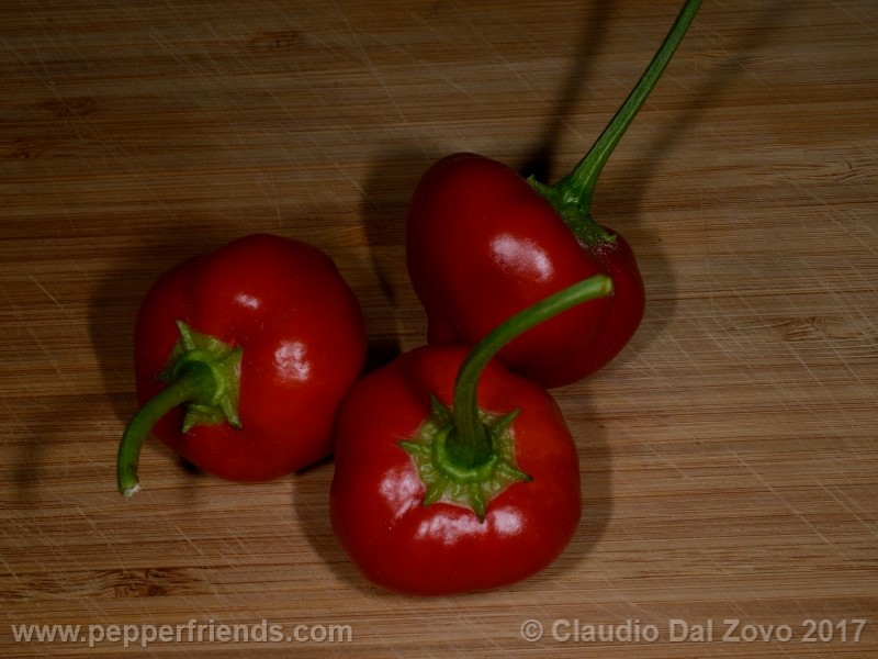 peppadew_001_frutto_07.jpg