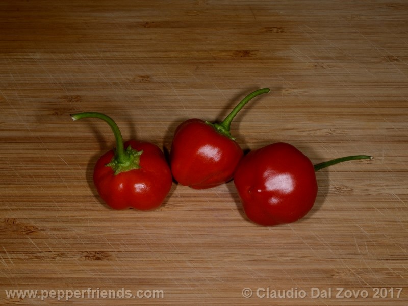Peppadew
