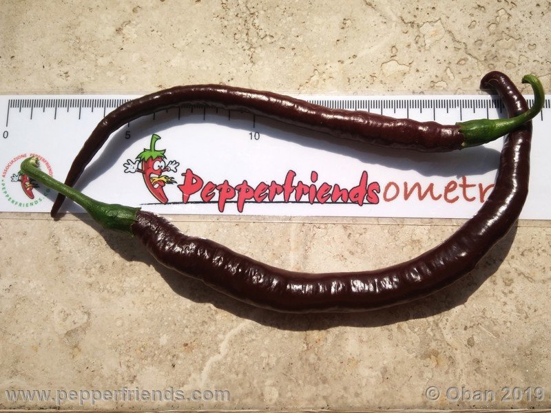 pimenta-de-paolo-black_001_frutto_26.jpg