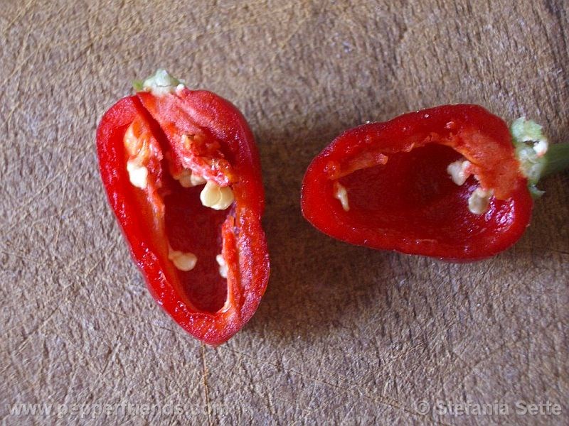 pimenta-morango_001_frutto_07.jpg