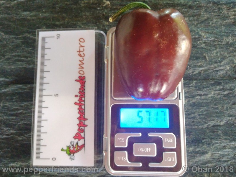 rocoto-big-brown_001_frutto_15.jpg
