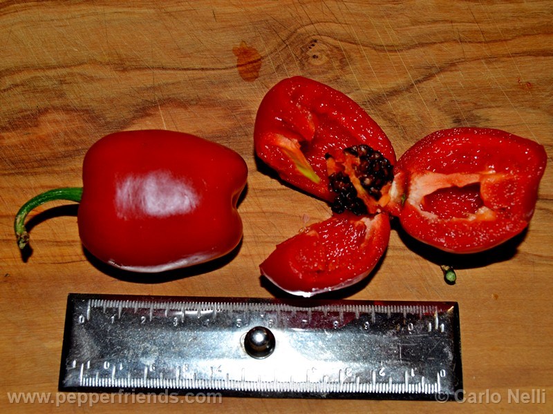 https://www.pepperfriends.org/uploads/rocoto-bigapple/001/rocoto-bigapple_001_frutto_07.jpg