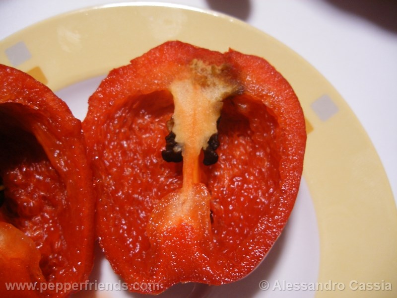 rocoto-ponore_001_frutto_03.jpg