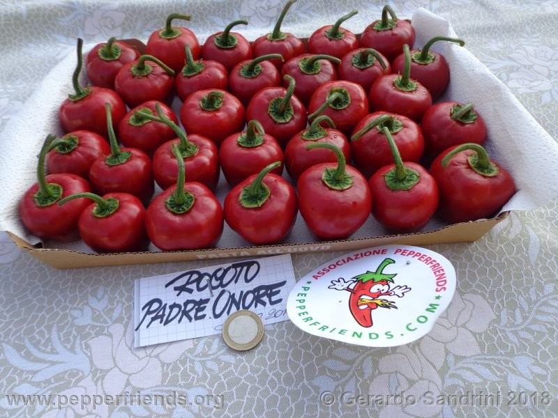 rocoto-ponore_002_6_DSC07317.jpg
