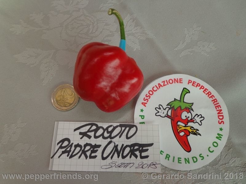 rocoto-ponore_002_DSC07088.jpg
