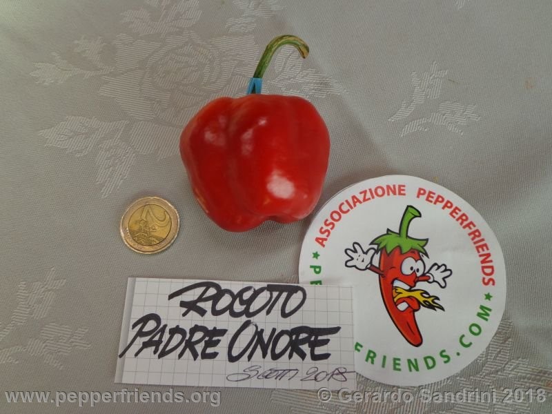 rocoto-ponore_002_DSC07089.jpg