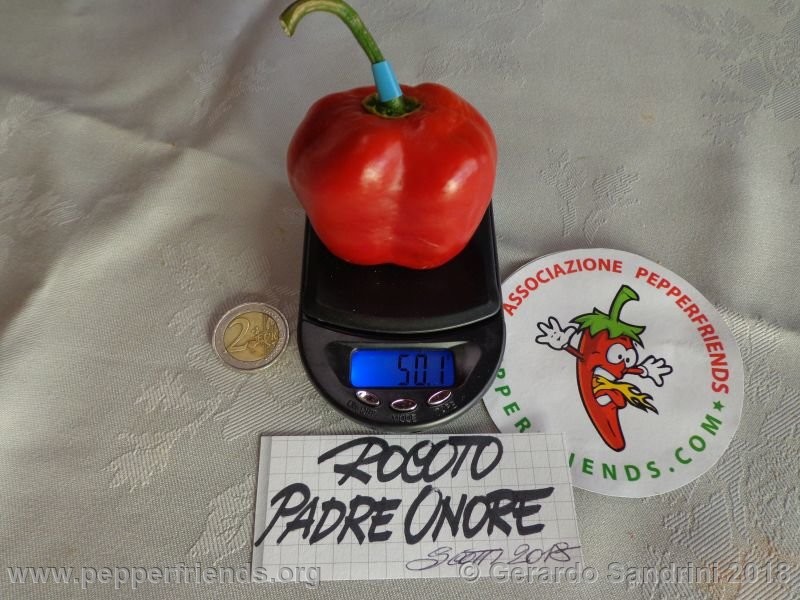 rocoto-ponore_002_DSC07093.jpg