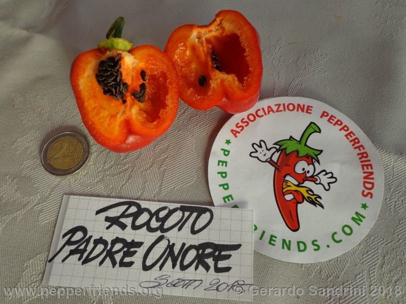 rocoto-ponore_002_DSC07098.jpg