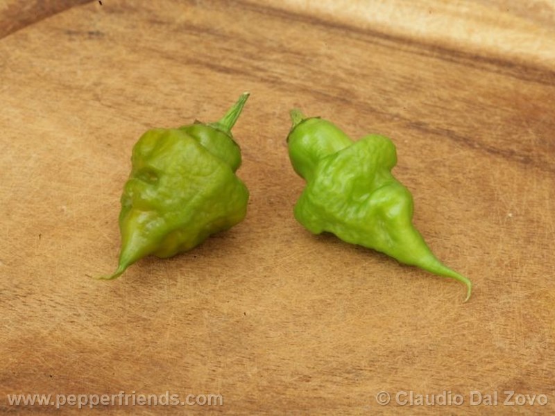 https://www.pepperfriends.org/uploads/scorpion-green/001/scorpion-green_001_frutto_02.jpg