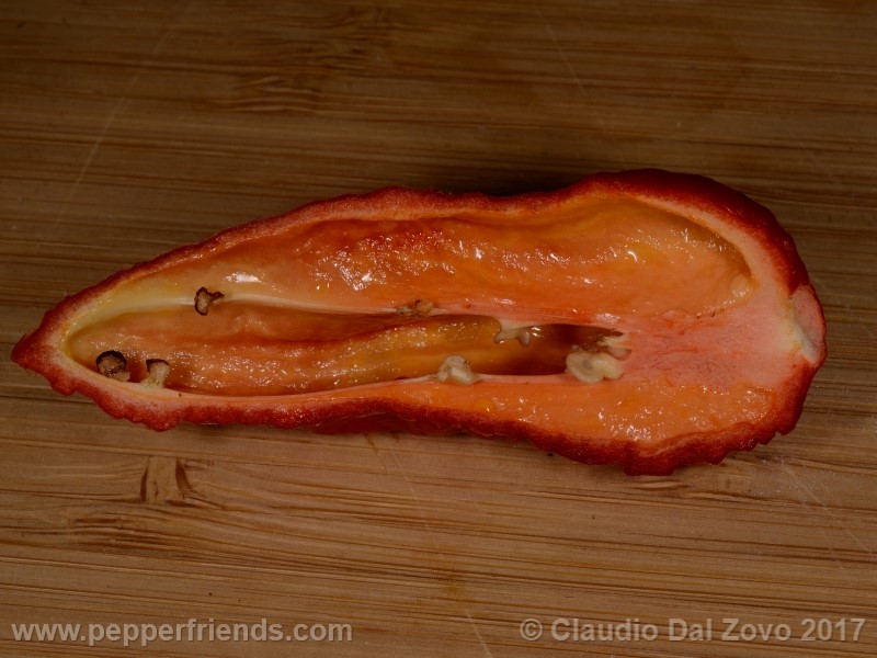 shabu-shabu_002_frutto_10.jpg